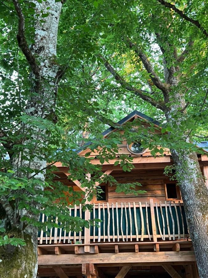 Charmante Cabane Dans Les Arbres Avec Jacuzzi Et Sauna Boismorand Esterno foto